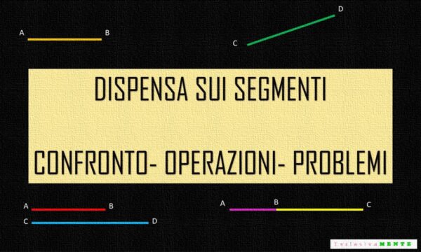I SEGMENTI